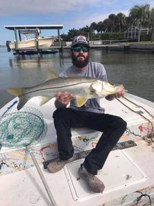 Top Snook Fishing in Seminole, FL